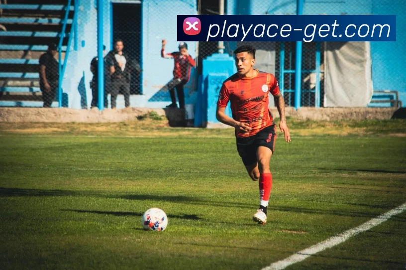 PA电子官网发展历程